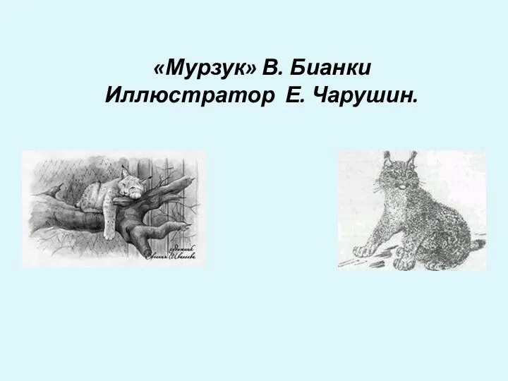 «Мурзук» В. Бианки Иллюстратор Е. Чарушин.