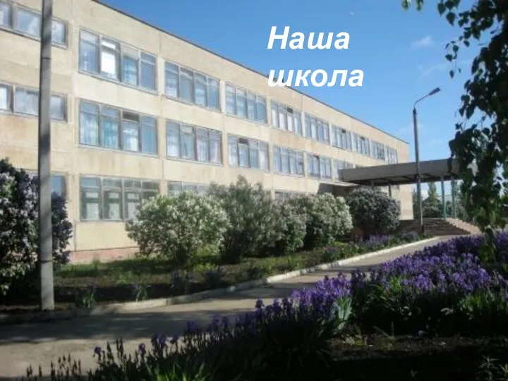 Наша школа