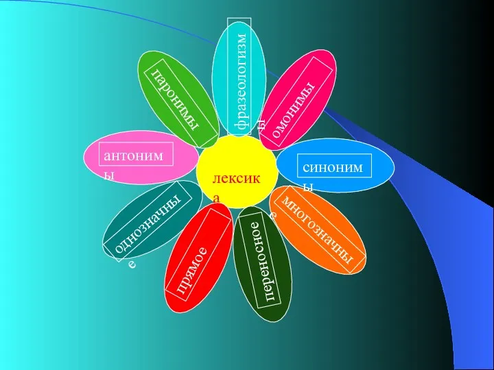 лексика фразеологизмы синонимы антонимы однозначные многозначные прямое переносное паронимы омонимы