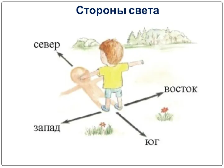 Стороны света