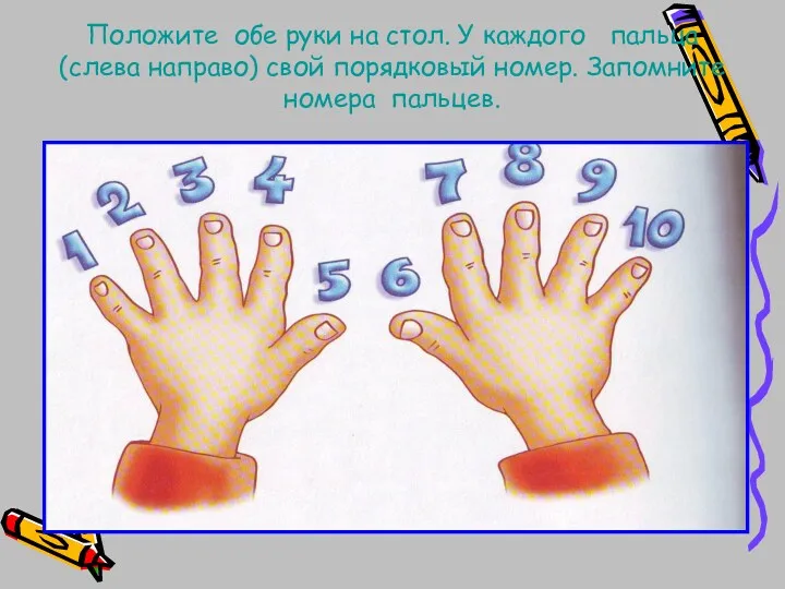Положите обе руки на стол. У каждого пальца (слева направо) свой порядковый номер. Запомните номера пальцев.