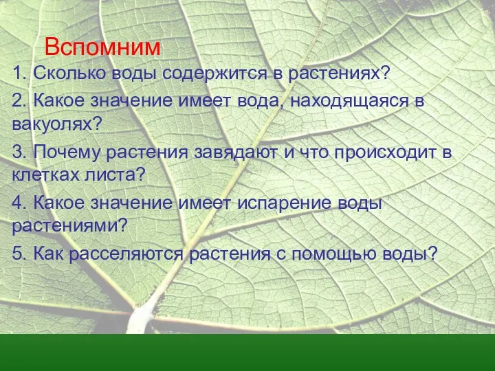 1. Сколько воды содержится в растениях? 2. Какое значение имеет