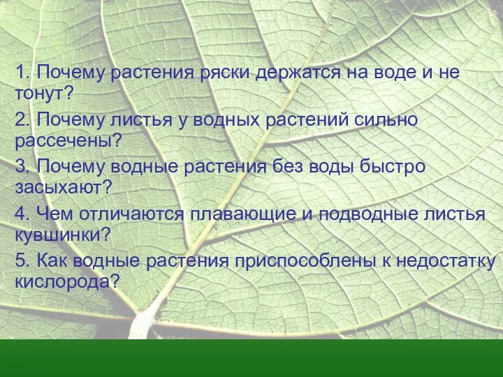 1. Почему растения ряски держатся на воде и не тонут?