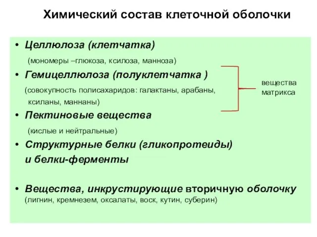 Химический состав клеточной оболочки Целлюлоза (клетчатка) (мономеры –глюкоза, ксилоза, манноза) Гемицеллюлоза (полуклетчатка )