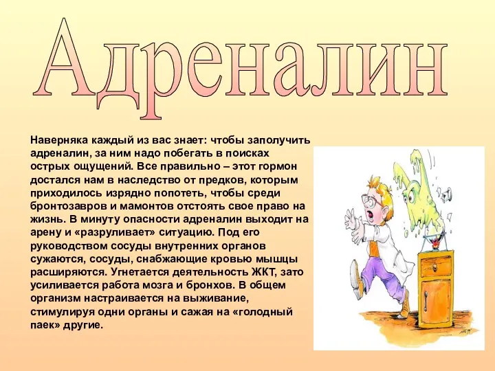 Адреналин Наверняка каждый из вас знает: чтобы заполучить адреналин, за