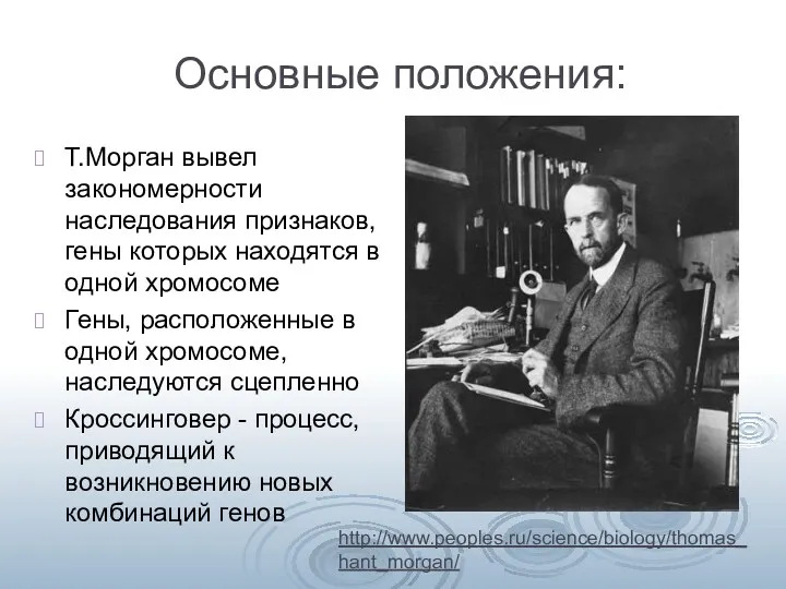 Основные положения: Т.Морган вывел закономерности наследования признаков, гены которых находятся