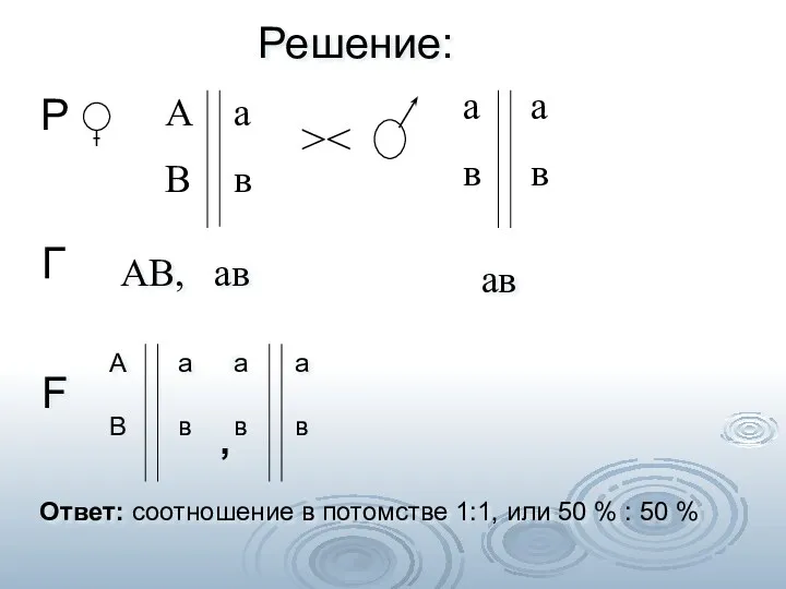 > Р Г А В а в а в Решение: