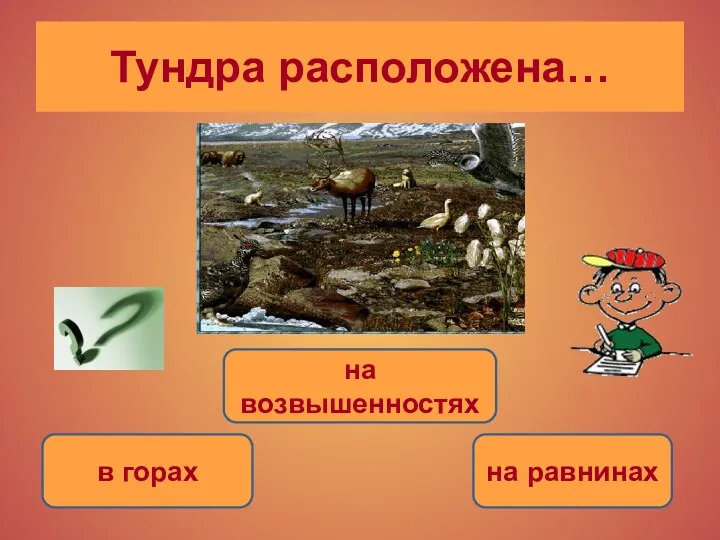 на равнинах на возвышенностях в горах Тундра расположена…