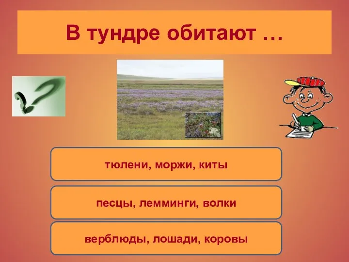 В тундре обитают … тюлени, моржи, киты песцы, лемминги, волки верблюды, лошади, коровы