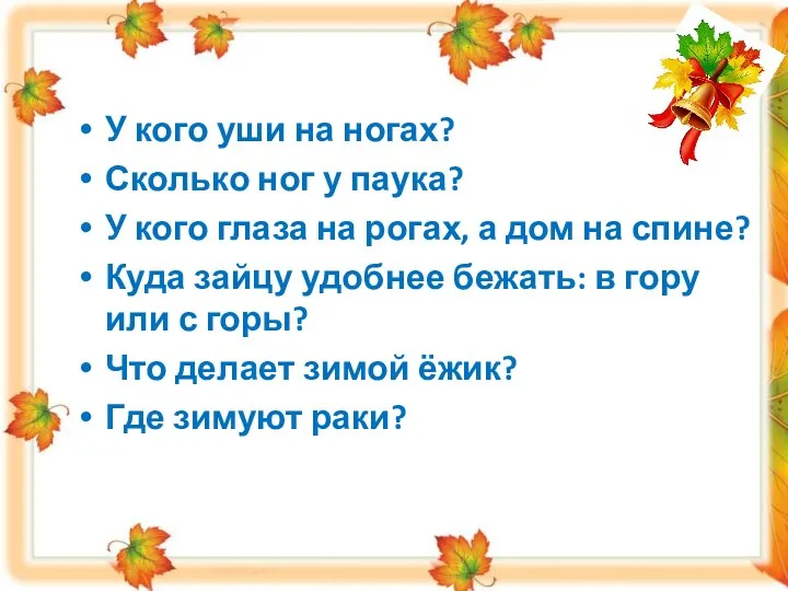 У кого уши на ногах? Сколько ног у паука? У