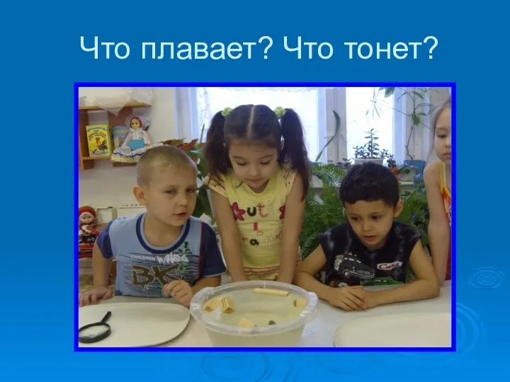 Что плавает? Что тонет?