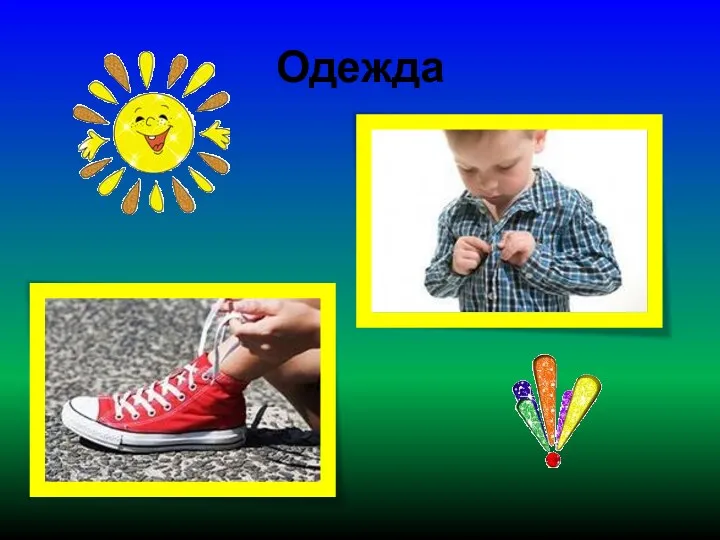 Одежда