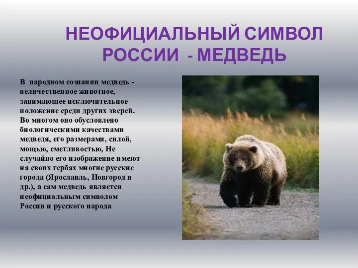 НЕОФИЦИАЛЬНЫЙ СИМВОЛ РОССИИ - МЕДВЕДЬ В народном сознании медведь -