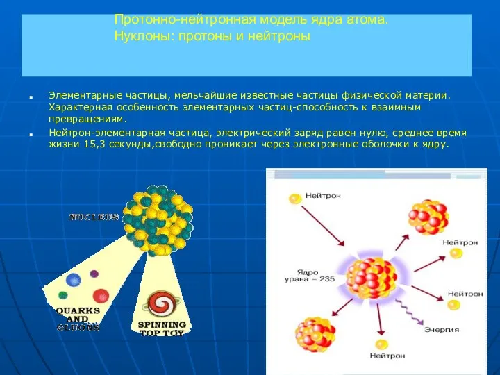 Протонно-нейтронная модель ядра атома. Нуклоны: протоны и нейтроны Элементарные частицы,