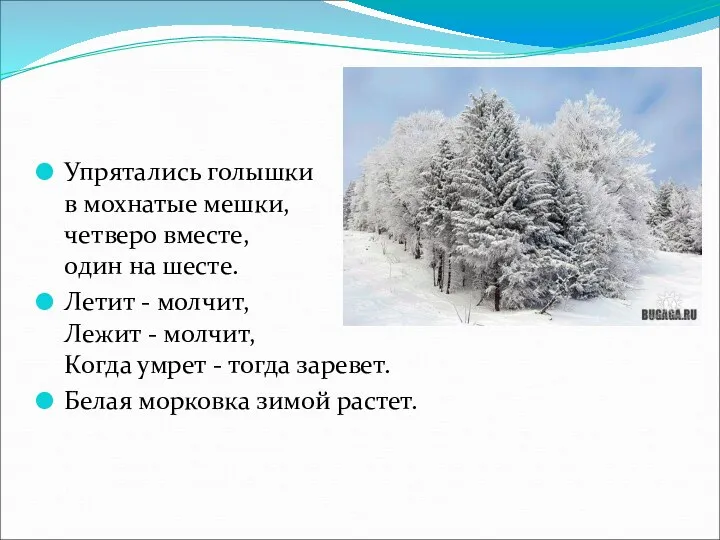 Упрятались голышки в мохнатые мешки, четверо вместе, один на шесте.