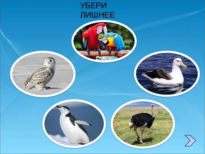 УБЕРИ ЛИШНЕЕ