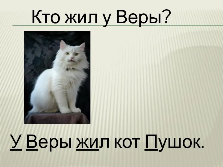 Кто жил у Веры? У Веры жил кот Пушок.