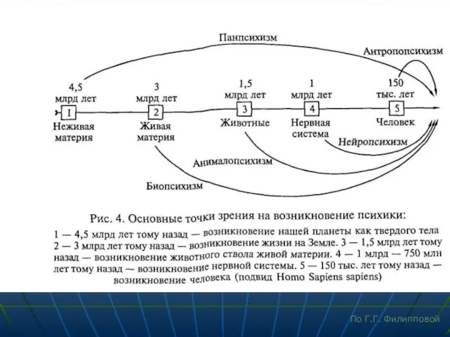 По Г.Г. Филипповой