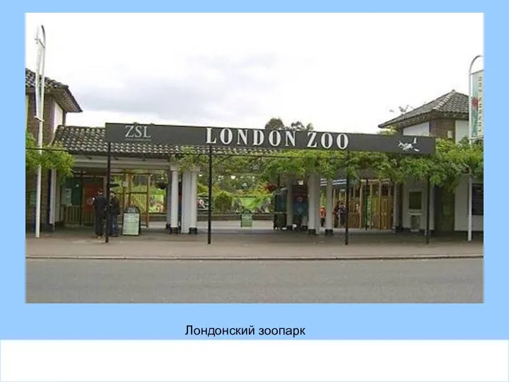 Лондонский зоопарк