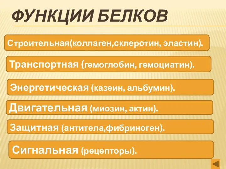 ФУНКЦИИ БЕЛКОВ Строительная(коллаген,склеротин, эластин). Транспортная (гемоглобин, гемоциатин). Энергетическая (казеин, альбумин).