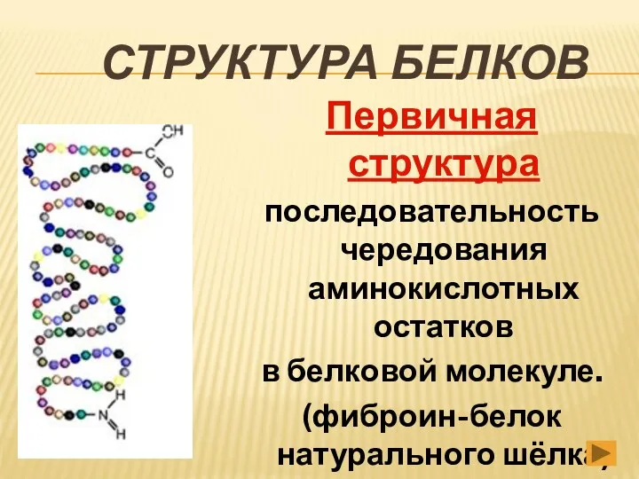 СТРУКТУРА БЕЛКОВ Первичная структура последовательность чередования аминокислотных остатков в белковой молекуле. (фиброин-белок натурального шёлка)