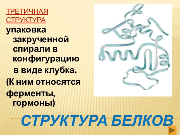 СТРУКТУРА БЕЛКОВ ТРЕТИЧНАЯ СТРУКТУРА упаковка закрученной спирали в конфигурацию в