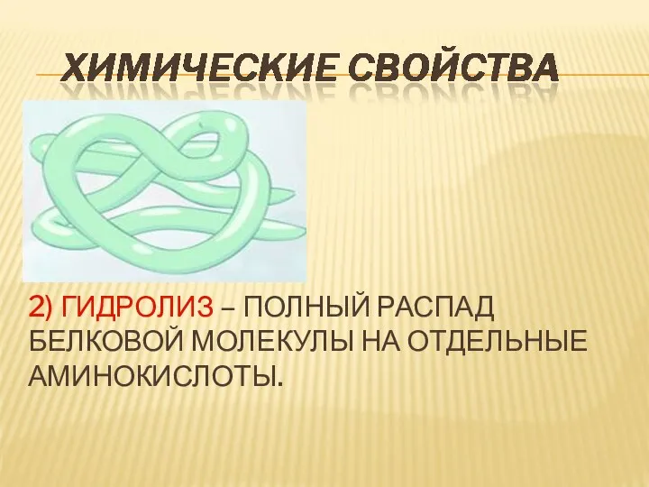 2) ГИДРОЛИЗ – ПОЛНЫЙ РАСПАД БЕЛКОВОЙ МОЛЕКУЛЫ НА ОТДЕЛЬНЫЕ АМИНОКИСЛОТЫ.