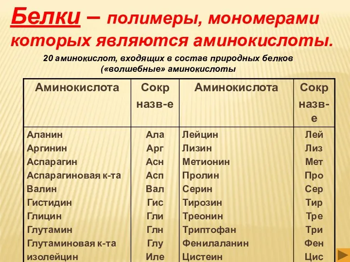 Белки – полимеры, мономерами которых являются аминокислоты. 20 аминокислот, входящих в состав природных белков («волшебные» аминокислоты