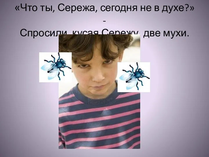 «Что ты, Сережа, сегодня не в духе?» - Спросили, кусая Сережу, две мухи.