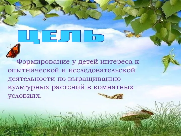 ЦЕЛЬ Формирование у детей интереса к опытнической и исследовательской деятельности по выращиванию культурных