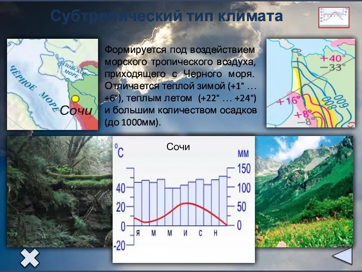 Субтропический тип климата Формируется под воздействием морского тропического воздуха, приходящего