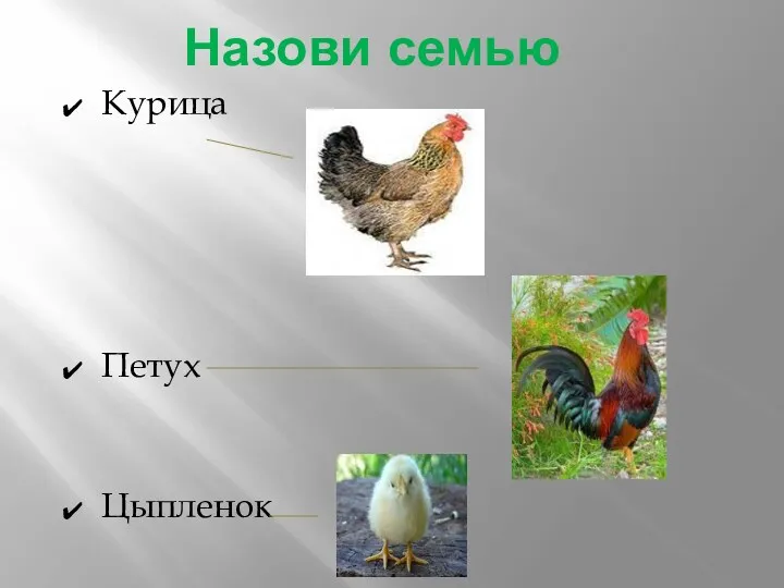 Назови семью Курица Петух Цыпленок