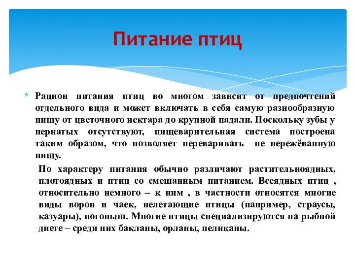 Рацион питания птиц во многом зависит от предпочтений отдельного вида