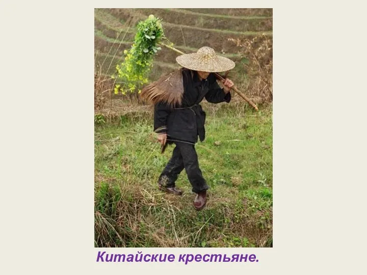 Китайские крестьяне.