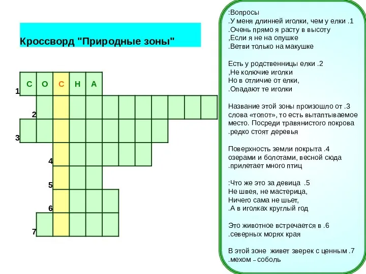 Вопросы: 1. У меня длинней иголки, чем у елки. Очень