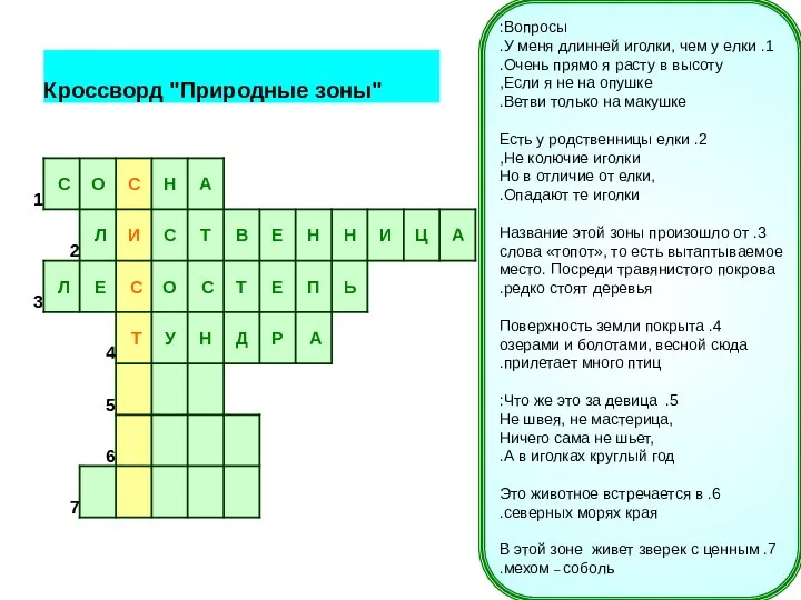 Вопросы: 1. У меня длинней иголки, чем у елки. Очень