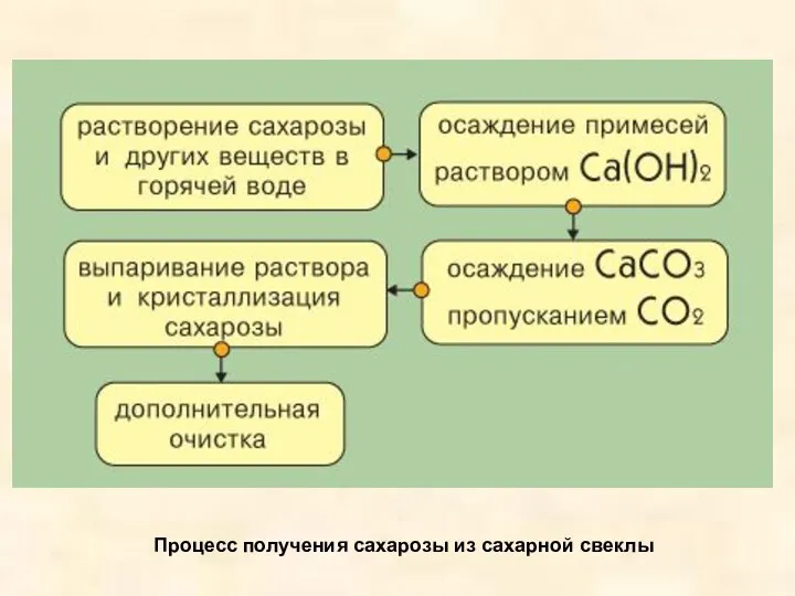 Процесс получения сахарозы из сахарной свеклы