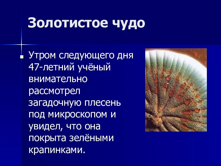 Золотистое чудо Утром следующего дня 47-летний учёный внимательно рассмотрел загадочную плесень под микроскопом