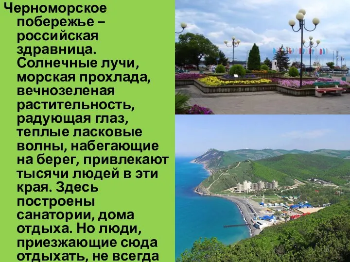 Черноморское побережье – российская здравница. Солнечные лучи, морская прохлада, вечнозеленая растительность, радующая глаз,