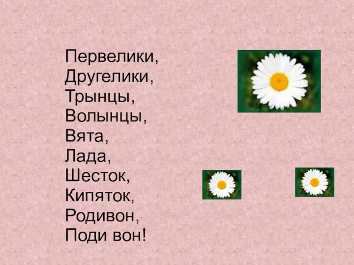 Первелики, Другелики, Трынцы, Волынцы, Вята, Лада, Шесток, Кипяток, Родивон, Поди вон!