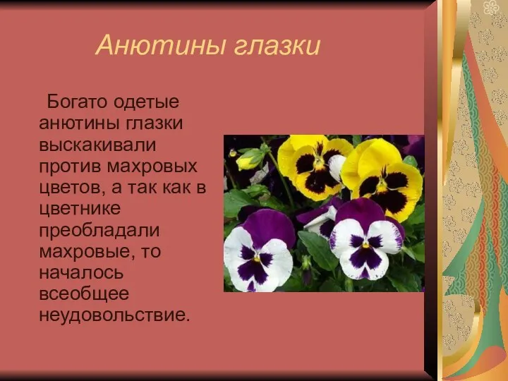 Анютины глазки Богато одетые анютины глазки выскакивали против махровых цветов,