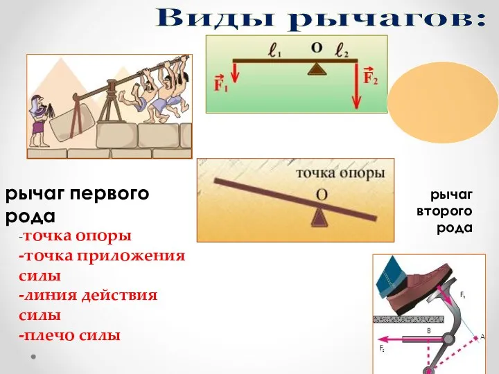 Виды рычагов: -точка опоры -точка приложения силы -линия действия силы