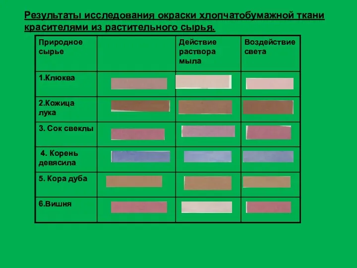 Результаты исследования окраски хлопчатобумажной ткани красителями из растительного сырья.