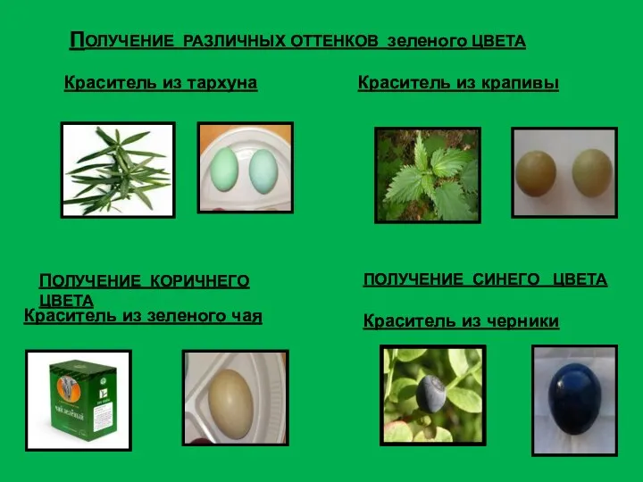 ПОЛУЧЕНИЕ РАЗЛИЧНЫХ ОТТЕНКОВ зеленого ЦВЕТА Краситель из крапивы Краситель из