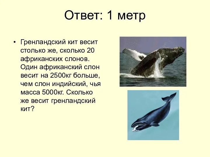 Ответ: 1 метр Гренландский кит весит столько же, сколько 20