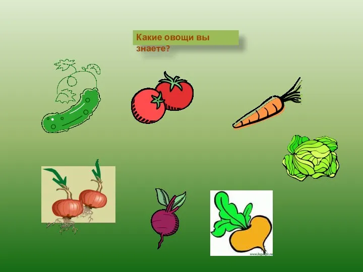 Какие овощи вы знаете?