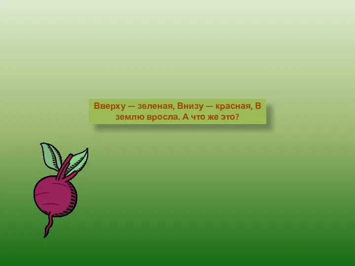 Вверху — зеленая, Внизу — красная, В землю вросла. А что же это?