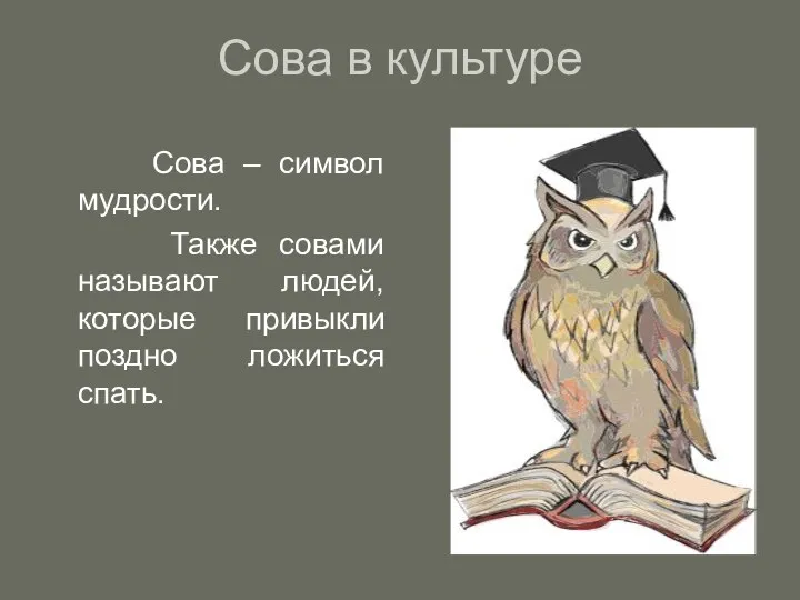 Сова в культуре Сова – символ мудрости. Также совами называют людей, которые привыкли поздно ложиться спать.