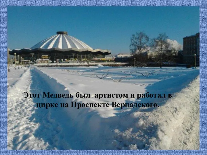 Этот Медведь был артистом и работал в цирке на Проспекте Вернадского.