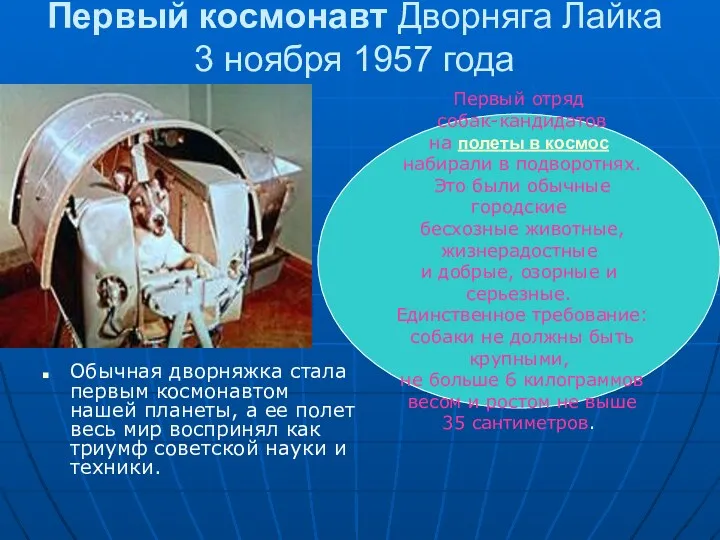 Первый космонавт Дворняга Лайка 3 ноября 1957 года Обычная дворняжка стала первым космонавтом